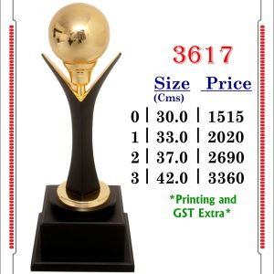 3617-Cms