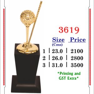 3619-Cms