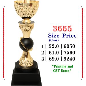 3665-Cms