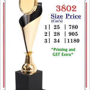 3802-Cms
